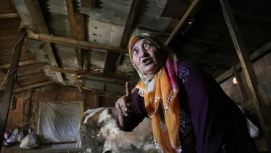 63 yaşındaki kadın tonluk boğalarına gözü gibi bakıyor