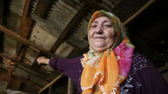 63 yaşındaki kadın tonluk boğalarına gözü gibi bakıyor