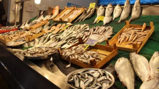 7 gün sonra daha ucuz balıklar satışa sunulacak