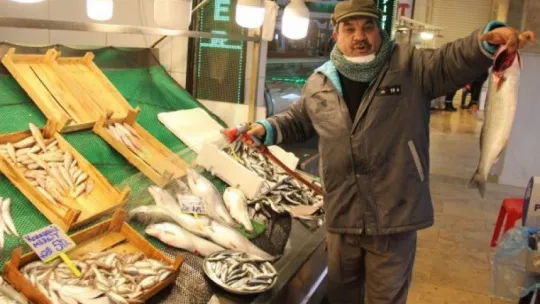 7 gün sonra daha ucuz balıklar satışa sunulacak