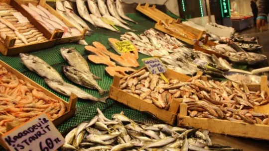 7 gün sonra daha ucuz balıklar satışa sunulacak