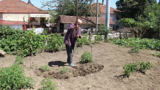 90 yaşında, yalnızlığını çalışarak unutuyor