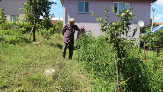 90 yaşında, yalnızlığını çalışarak unutuyor