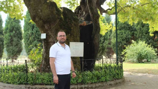 930 yıllık çınar asırlara meydan okuyor