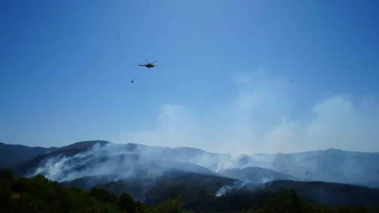 963 personel, 16 hava aracı ile Karamürsel'deki yangına büyük seferberlik
