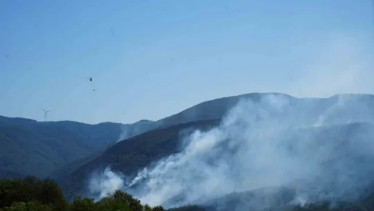 963 personel, 16 hava aracı ile Karamürsel'deki yangına büyük seferberlik