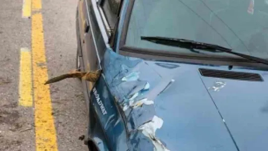 Sakarya'da otomobili evin bahçesine devrildi