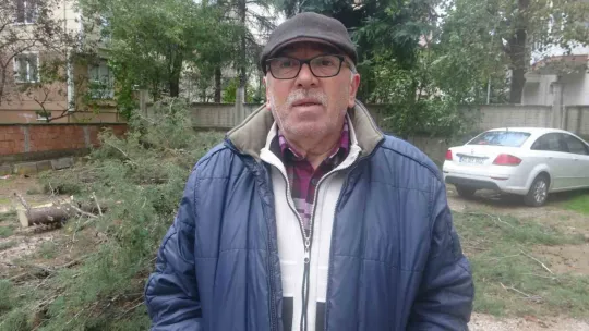 2 otomobilin üstüne ağaç devrildi