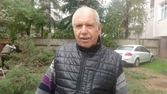 2 otomobilin üstüne ağaç devrildi