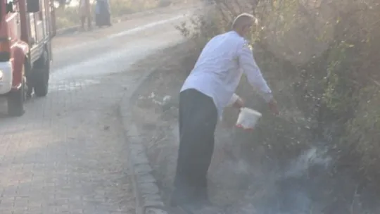 Ağaçlık alan alev alev yandı