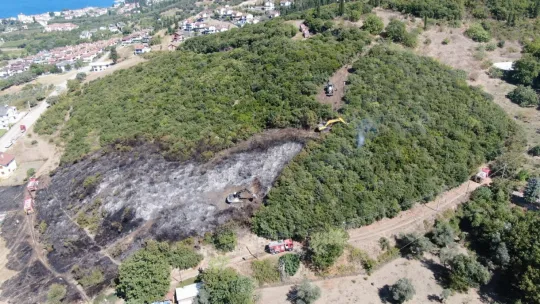 Ağaçlık alandaki yangında kaplumbağayı yanmaktan kurtardı