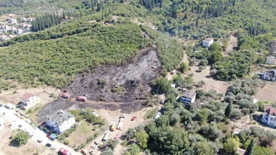 Ağaçlık alandaki yangında kaplumbağayı yanmaktan kurtardı
