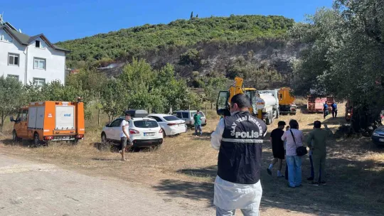 Ağaçlık alandaki yangında kaplumbağayı yanmaktan kurtardı
