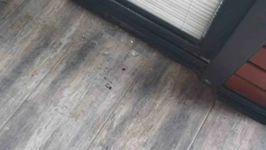 Ailesiyle bungalova tatile gitti, hayatı alt üst oldu