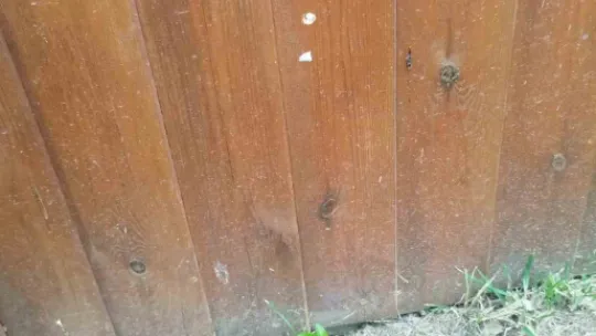 Ailesiyle bungalova tatile gitti, hayatı alt üst oldu