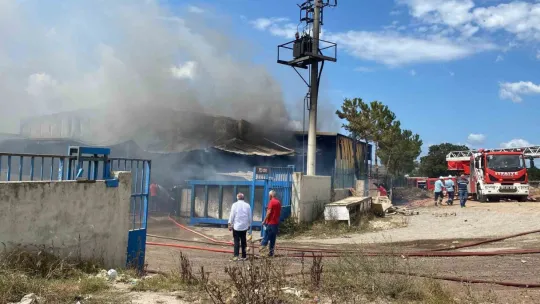 Alev alev yanan fabrika kesimhanede yeniden küllerinden doğdu