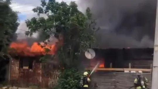 Alevlerden kaçarken yola fırlayan kedinin imdadına yetişti