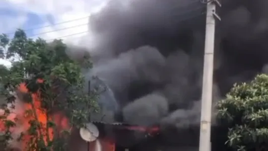 Alevlerden kaçarken yola fırlayan kedinin imdadına yetişti