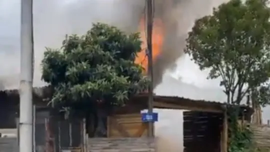 Alevlerden kaçarken yola fırlayan kedinin imdadına yetişti