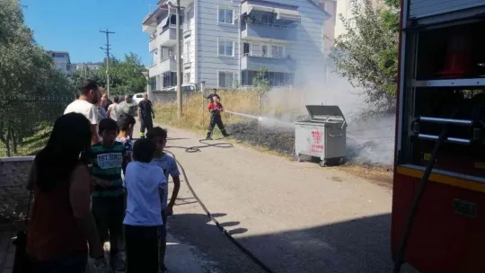 Kaplumbağa alevlerin arasında kaldı