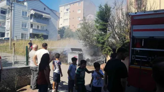 Kaplumbağa alevlerin arasında kaldı