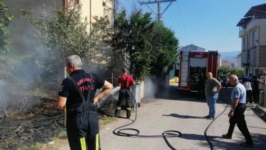 Kaplumbağa alevlerin arasında kaldı