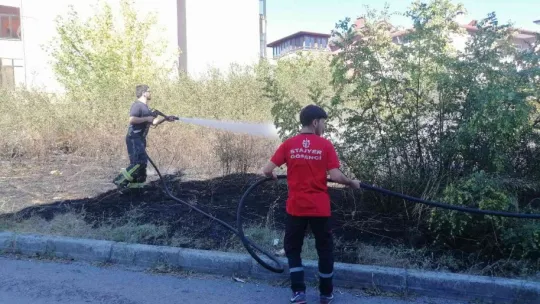 Kaplumbağa alevlerin arasında kaldı