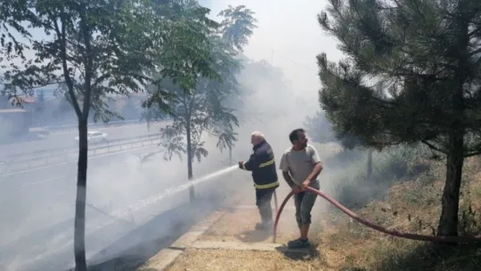 Alkol alırken yaktıkları ateş onlarca ağacı küle döndürdü