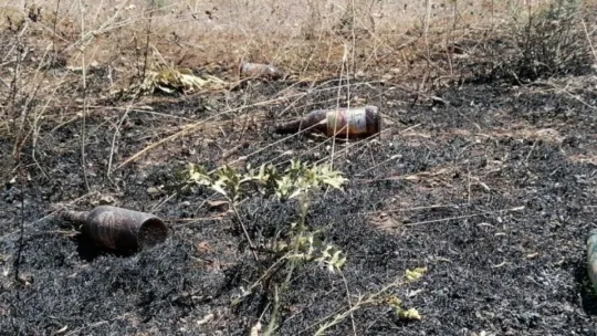Alkol alırken yaktıkları ateş onlarca ağacı küle döndürdü