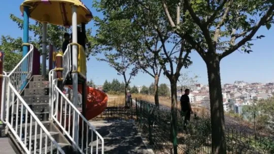 Alkol alırken yaktıkları ateş onlarca ağacı küle döndürdü