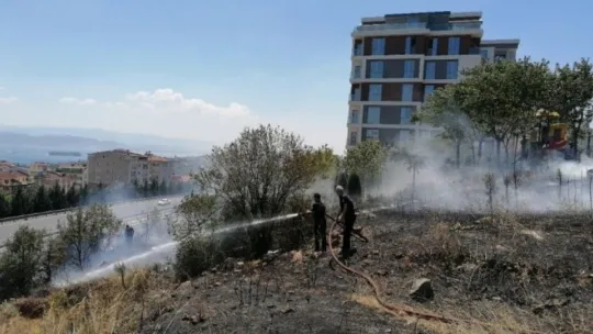 Alkol alırken yaktıkları ateş onlarca ağacı küle döndürdü