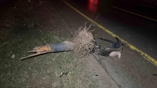 Alkollü sürücü dehşet saçtı