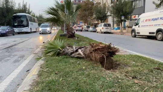 Alkollü sürücü düz yolda takla attı!