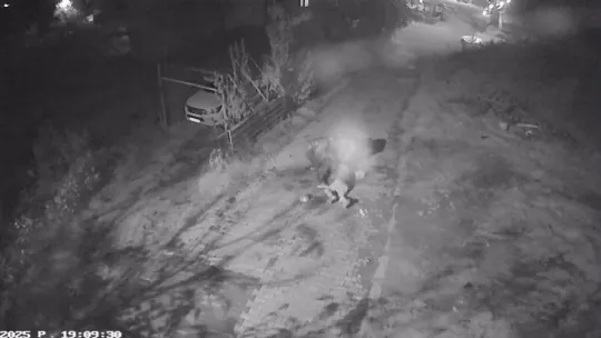 Altın çantasıyla evine girmek isteyen yaşlı adam gasbedildi