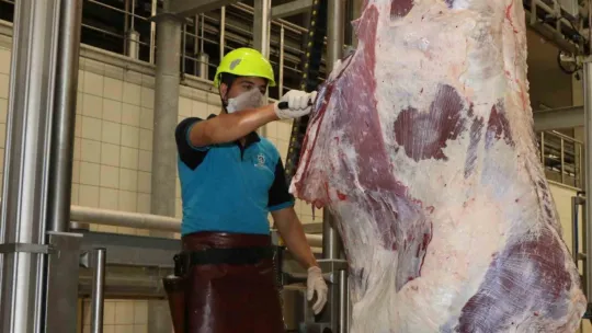 Aman dikkat: Çevreye atılan hayvan organları bulaşıcı hastalığa neden oluyor