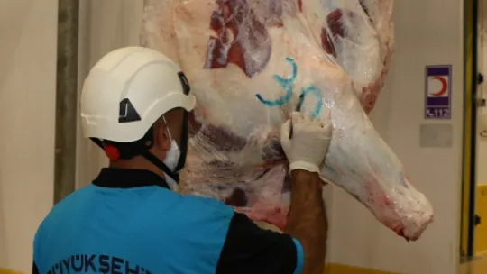 Aman dikkat: Çevreye atılan hayvan organları bulaşıcı hastalığa neden oluyor