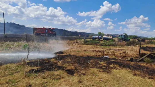 Kocaeli'de anız yangını
