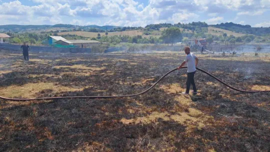 Kocaeli'de anız yangını