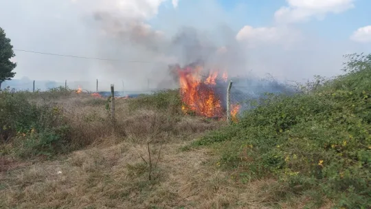 Kocaeli'de anız yangını