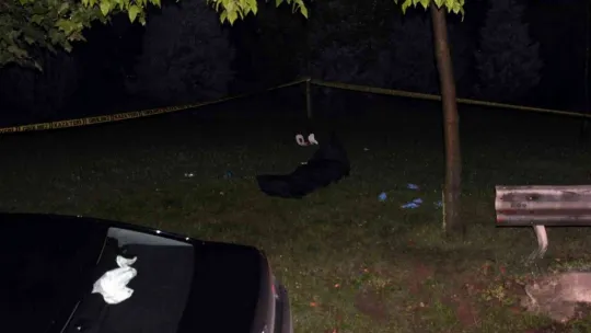 Annesini öldürmüştü, cezai ehliyeti olduğu ortaya çıktı