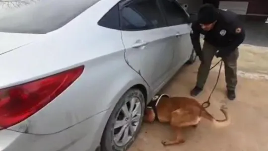 Aracın yakıt deposundan 18 kilo esrar çıktı!