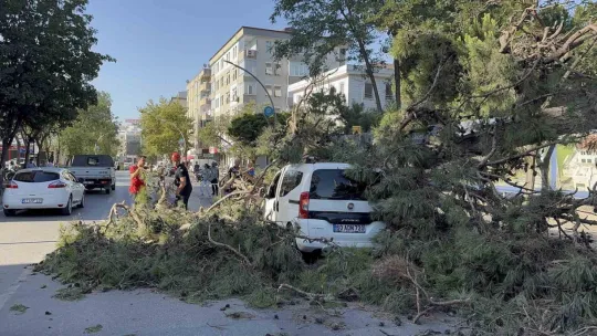 Aracıyla düz yolda giderken kabusu yaşadı