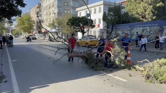 Aracıyla düz yolda giderken kabusu yaşadı