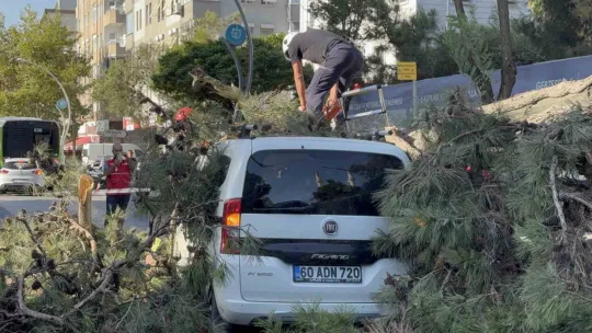 Aracıyla düz yolda giderken kabusu yaşadı