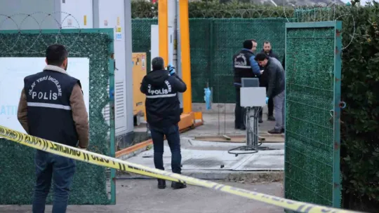 Arıtma sisteminde cenin bulundu