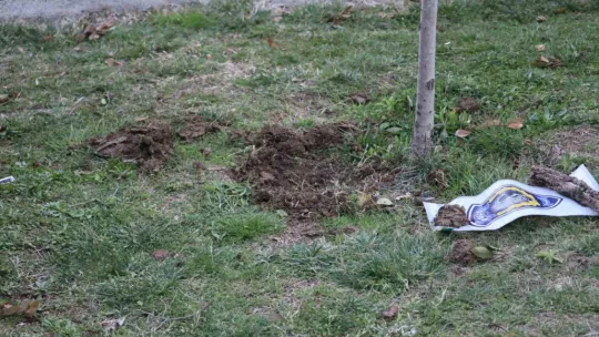 Arıtma sisteminde cenin bulundu