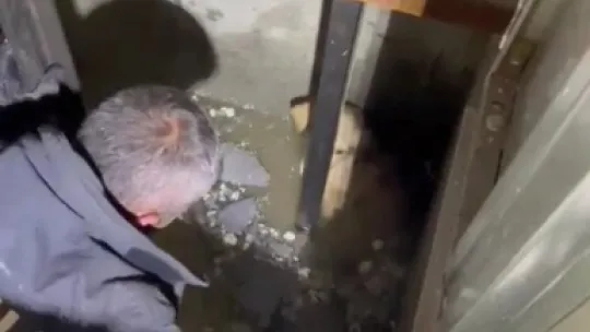 Asansör boşluğuna düşen köpekleri itfaiye kurtardı