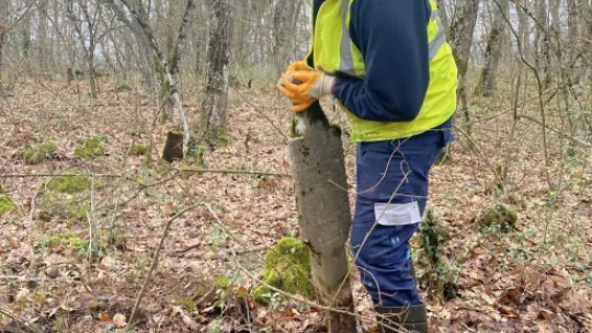 Asırlık Osmanlı mezarları yeniden ayağa kaldırıldı