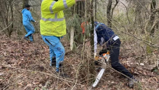 Asırlık Osmanlı mezarları yeniden ayağa kaldırıldı