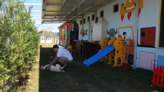 Atatürk büstü altında bulunan köpeği öğretmenler sahiplendi
